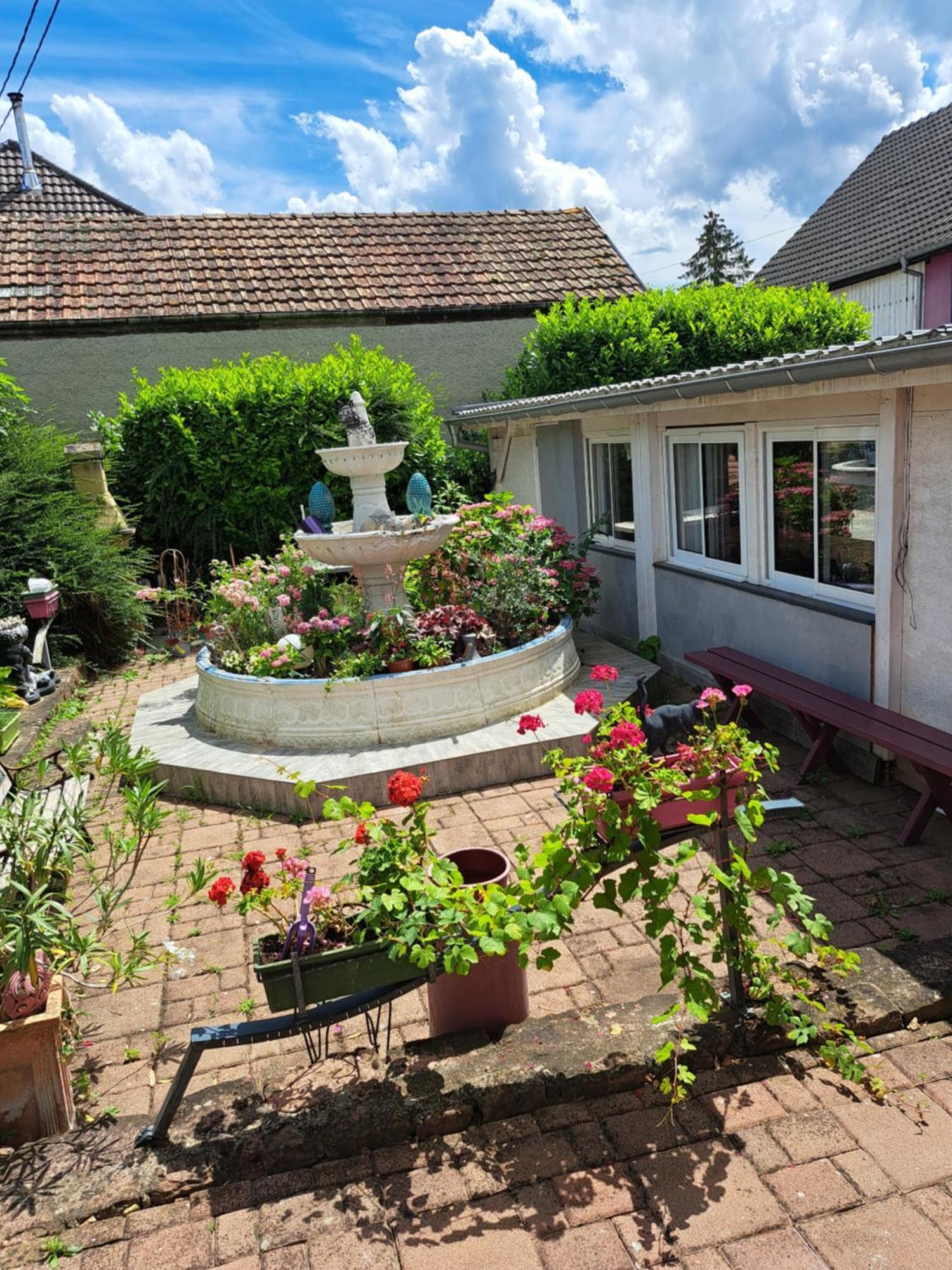 Domaine Du Vieux Moulin Lägenhet Westhalten Exteriör bild